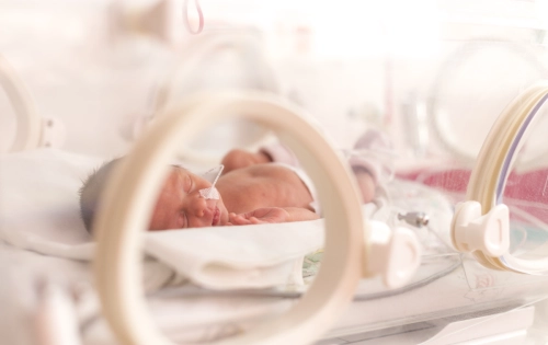 Lakukan 7 Langkah Perawatan Bayi Baru Lahir Prematur - Infografik