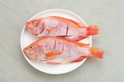 Jenis dan Manfaat Ikan untuk Menu MPASI Bayi