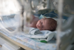 Tips Nutrisi dan Perawatan untuk Bayi Lahir Prematur 8 Bulan agar Tumbuh Optimal