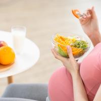 Pola Makan yang Sehat untuk Ibu Hamil